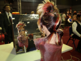 Campeonato Abierto de Peluqueria Femenina Peinado Creativo 10